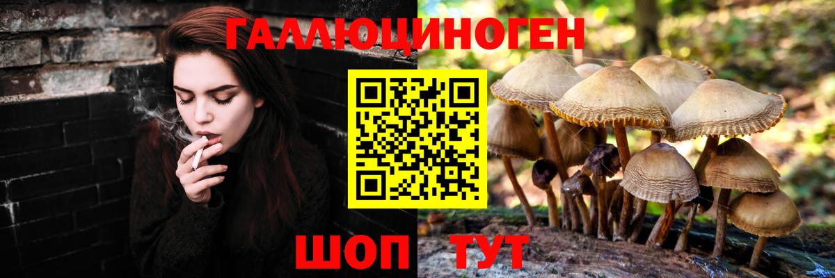 Фурманов  Псилоцибиновые грибы ЛСД  Вход с VPN 